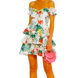 NWT! Caroline Constas off-the-shoulder Helena-print dress, women’s size L.🌴